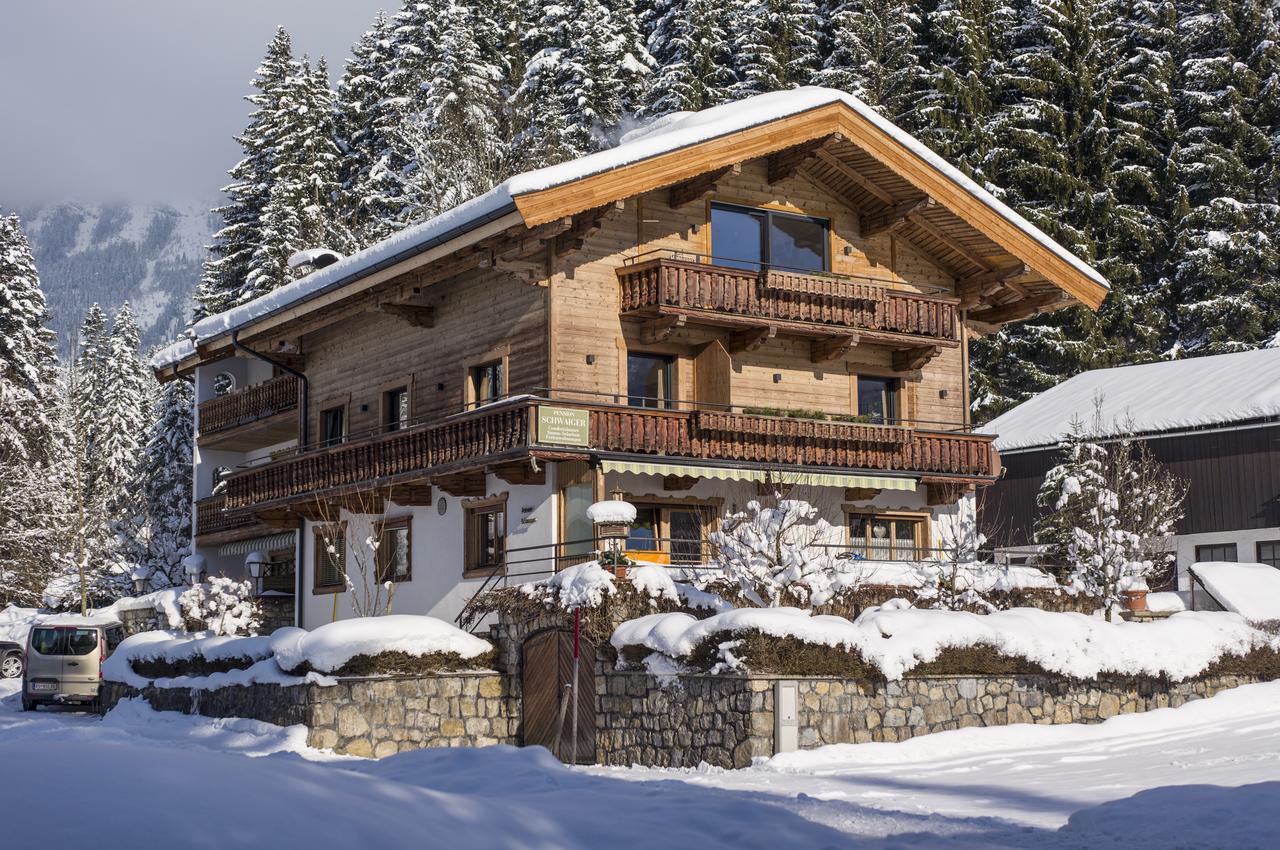 Appartement Schwaiger Scheffau am Wilden Kaiser Dış mekan fotoğraf